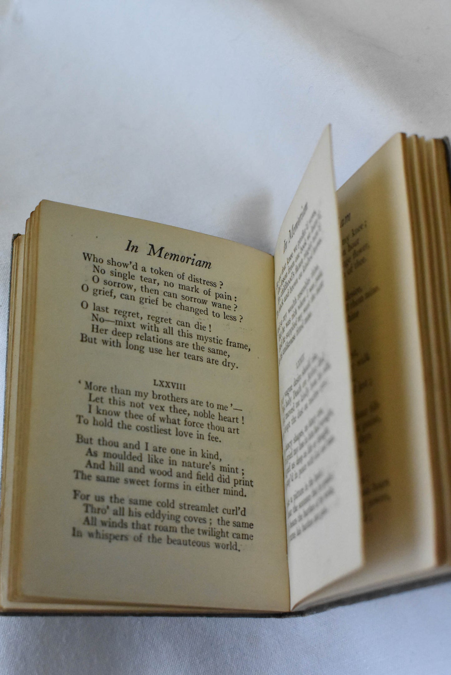 Tennyson's In Memoriam 1911 gilt-edged chapbook