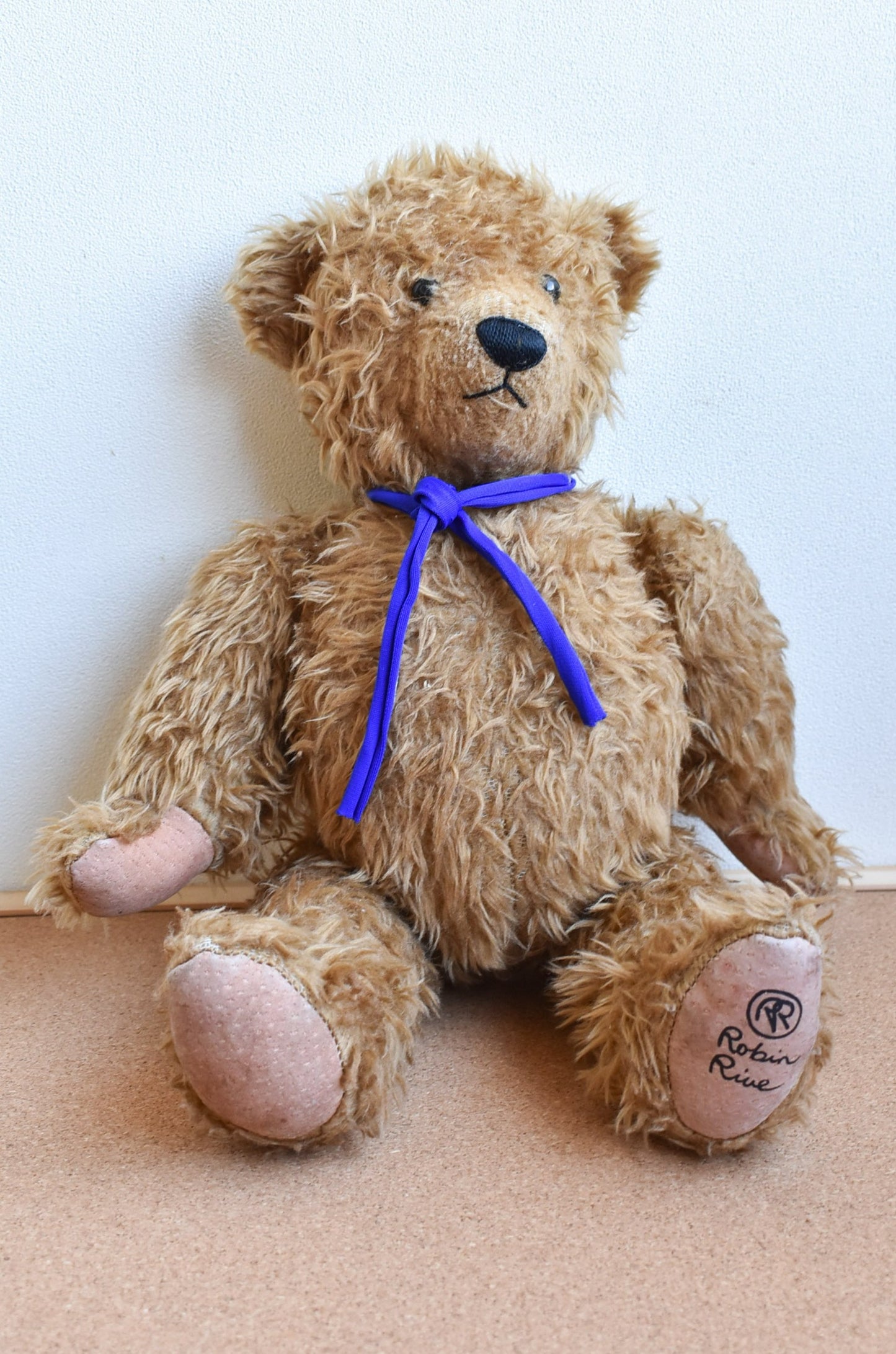 Robin Rive Bear, looking for a forever home