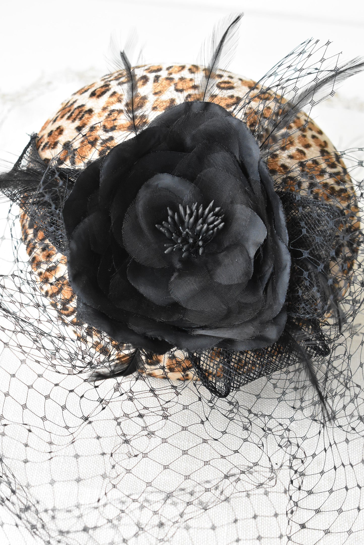 Leopard skin and black rose fascinator